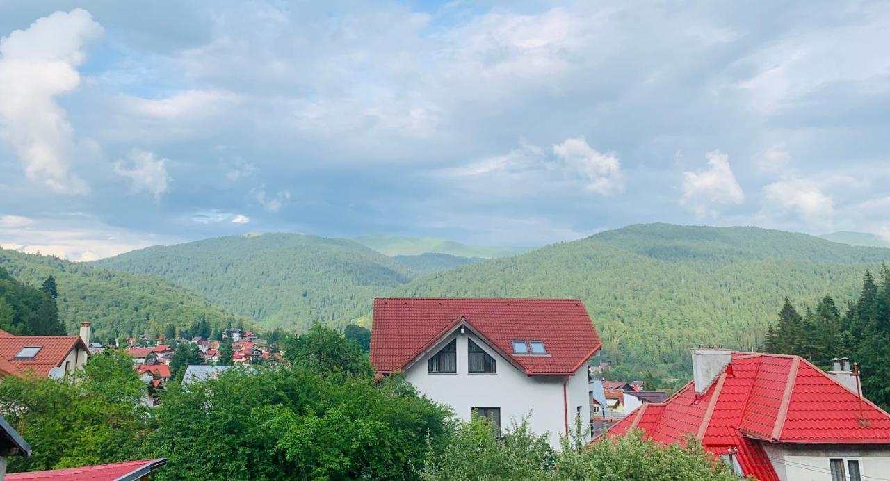 Casa De Sub Munte Hotel Szászbuda Kültér fotó